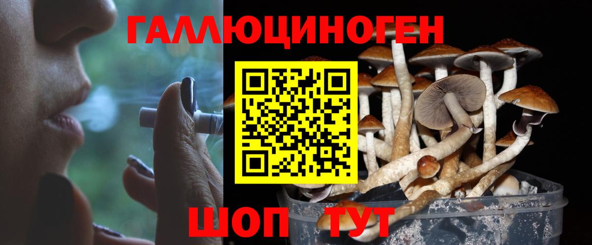 Гусев  Псилоцибиновые грибы мухоморы  Вход с VPN 